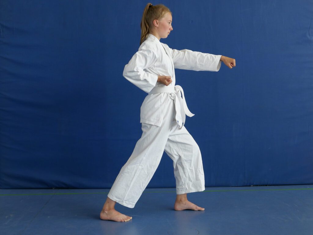 Traditionelle Wadōkai Karate Technik